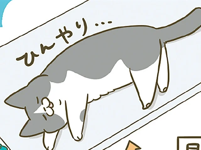 「暑いからか！」何回注意してもキッチンカウンターに乗る猫に、飼い主が気を遣うと
