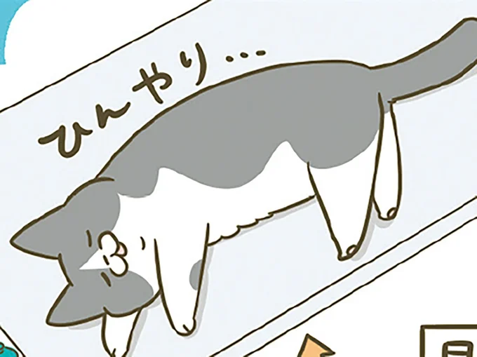 ひんやり…