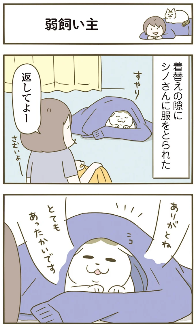 シノさんに服をとられたけど…