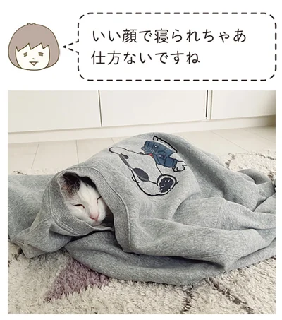 いい顔で寝られちゃあ仕方ない