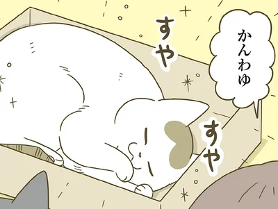 かんわゆ