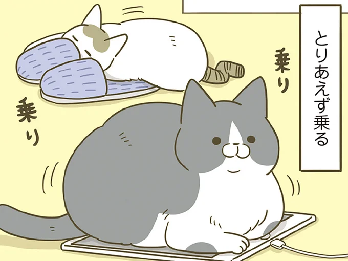 とりあえず乗る