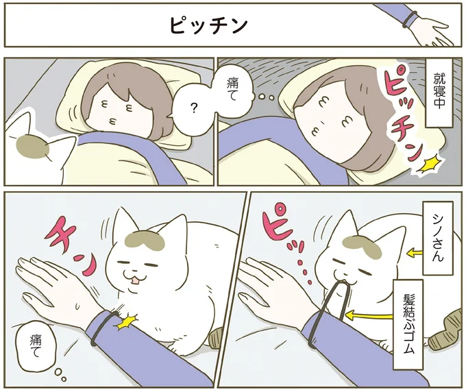 就寝中…