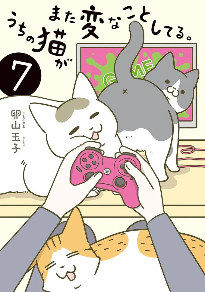 今回の大きなイベントは卵山家の引っ越し。『うちの猫がまた変なことしてる。７』
