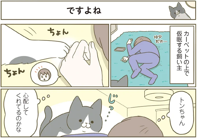 心配してくれてるのかな