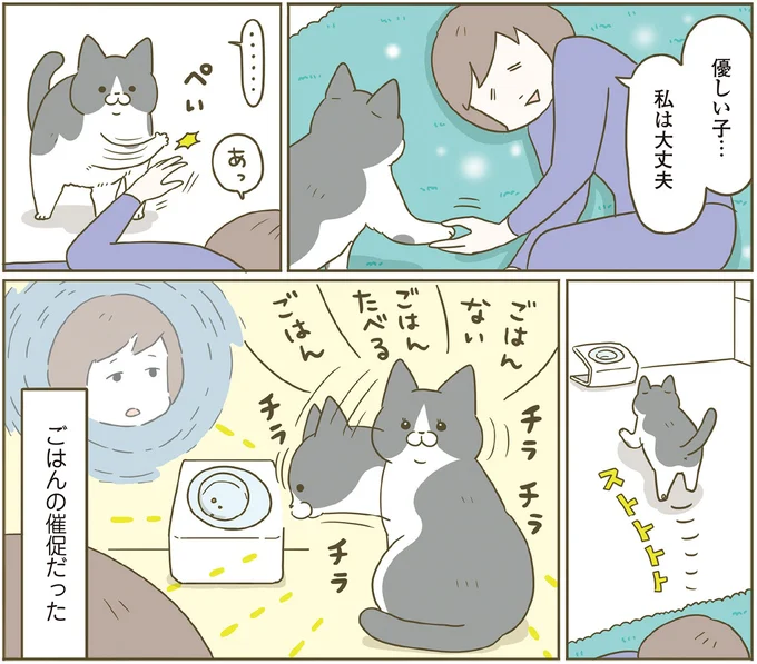 ごはんの催促だった
