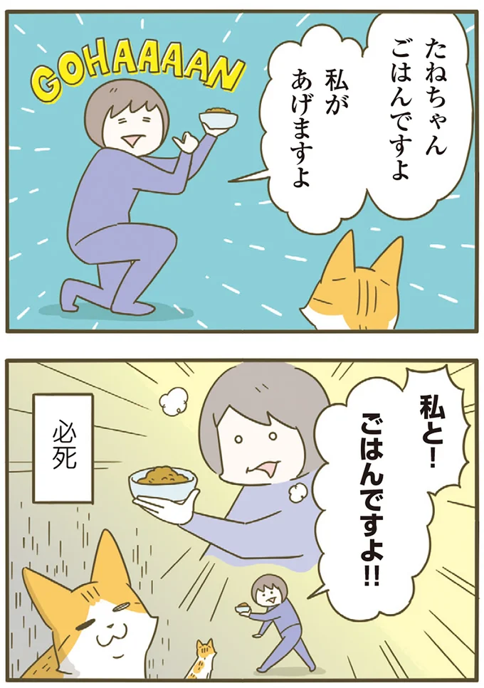 私と!ごはんですよ!!