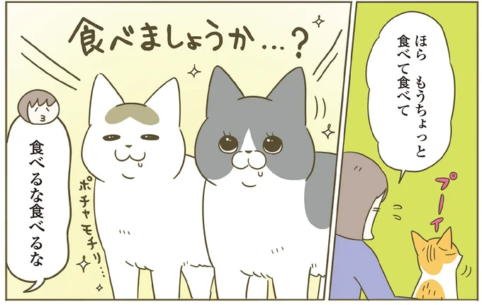 食べるな食べるな