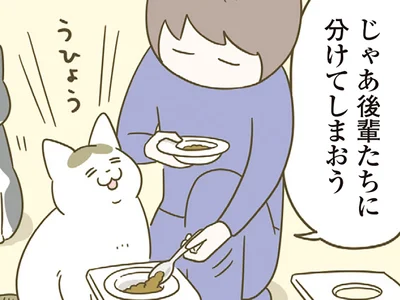 分けてしまおう