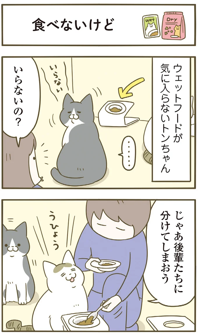 いらないの?
