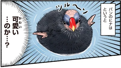 可愛い…のか…？