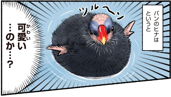 可愛い…のか…?