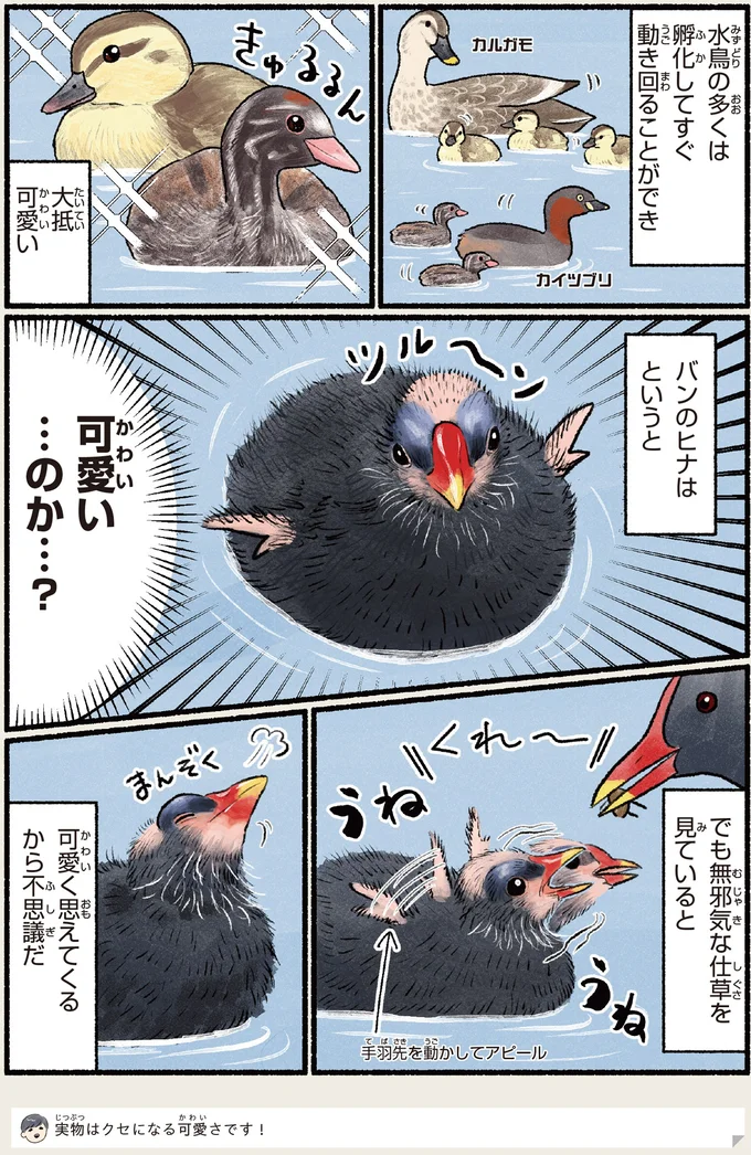 可愛く思えてくるから不思議だ
