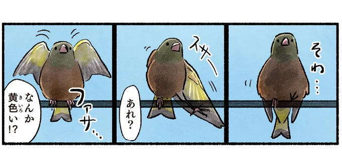 あれ?なんか黄色い!?