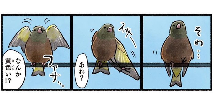 電線に留まっているのはスズメかな？実は黄色い羽のカワラヒワ