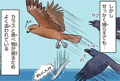 せっかく捕えても…