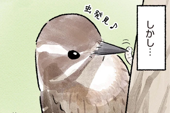 森にすむイメージがあるけれど。身近な場所で見られるキツツキの仲間コゲラ