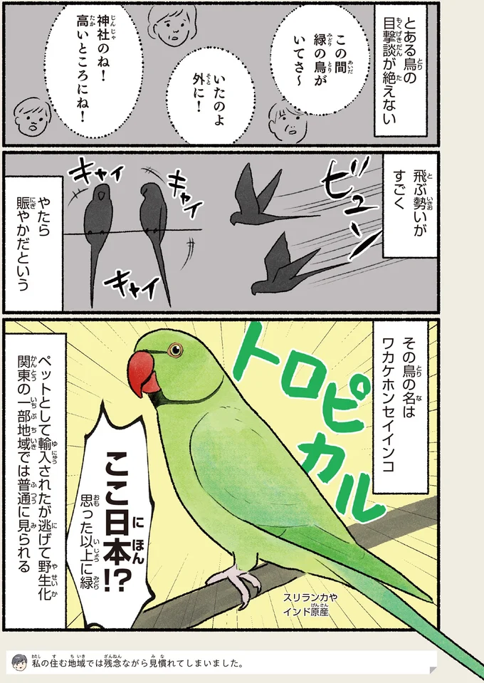 思った以上に緑