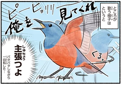 主張つよ