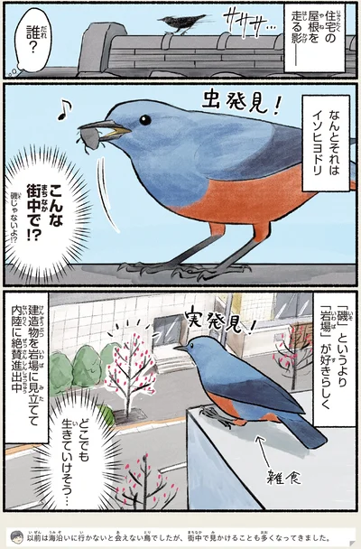 こんな街中で！？