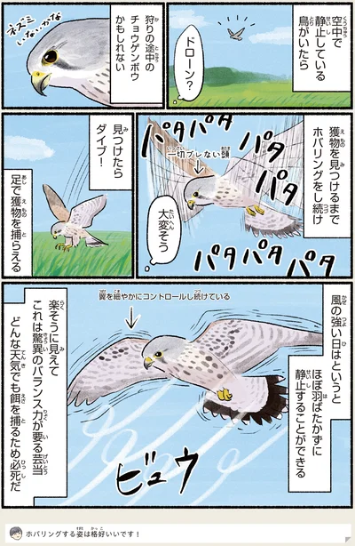 見つけたらダイブ！