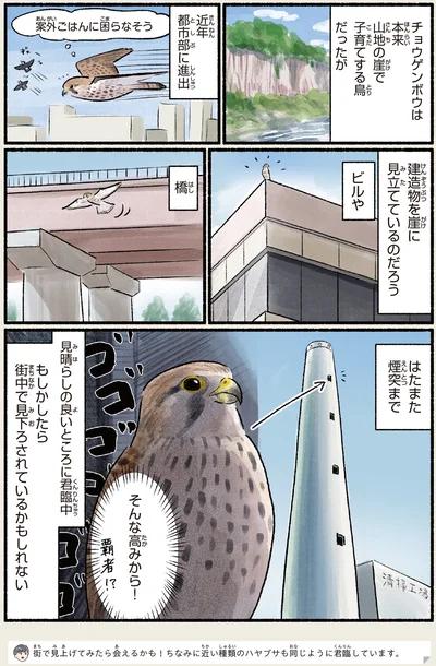 そんな高みから！