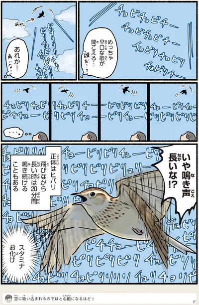 いや鳴き声長いな！？