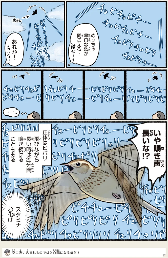 いや鳴き声長いな！？