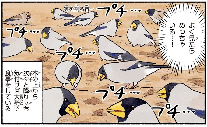よく見たらめっちゃいる…!