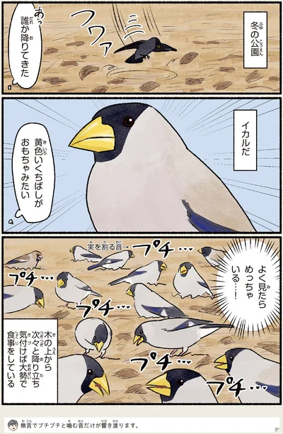 黄色いくちばしがおもちゃみたい