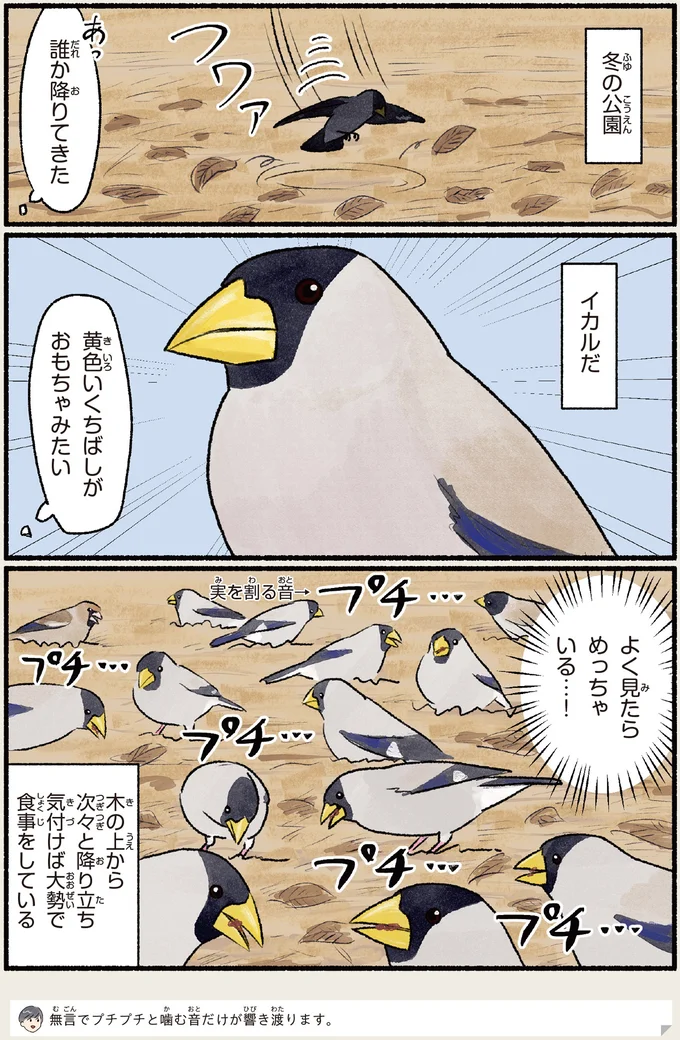 黄色いくちばしがおもちゃみたい