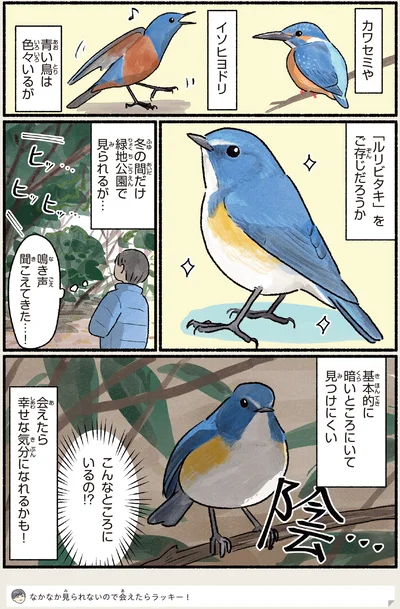 会えたら幸せな気分になれるかも…