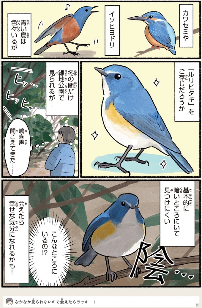 会えたら幸せな気分になれるかも…