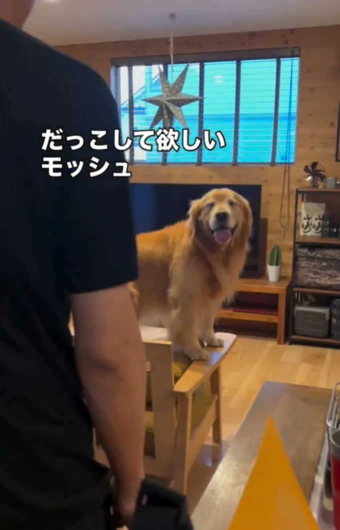 大好きなお父さんが部屋に入ってきた▶「抱っこしてほしい」アピールをすると…(⇒次へ)