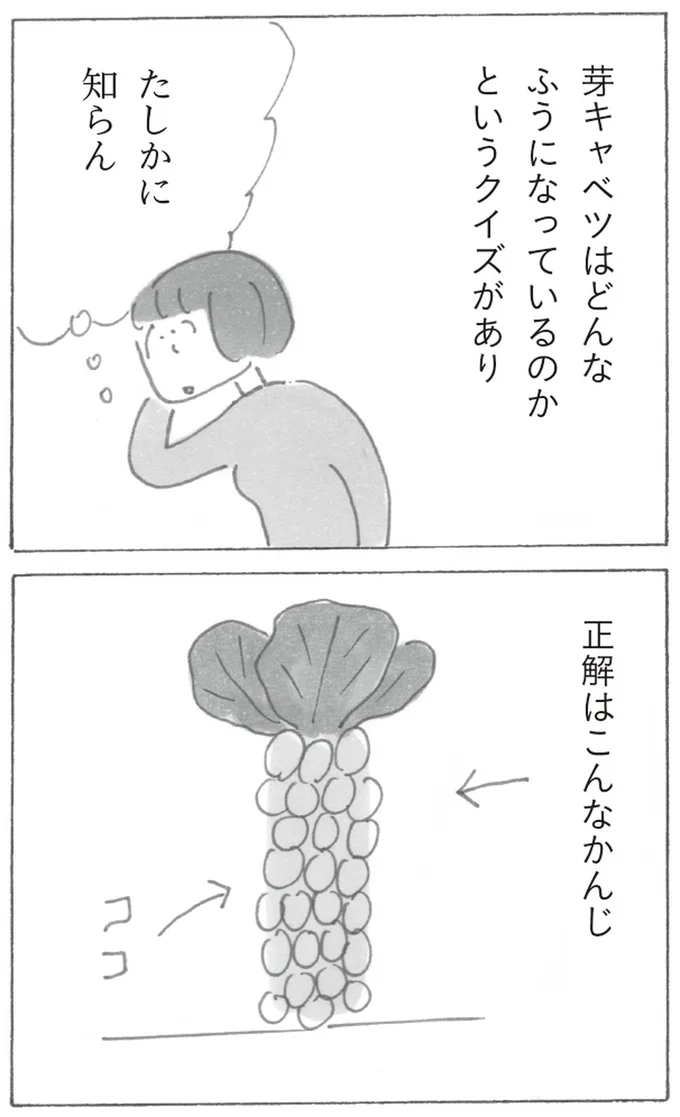 『スーパーマーケット宇宙』より