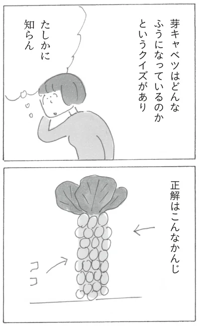 『スーパーマーケット宇宙』より