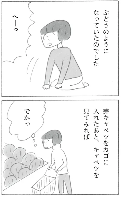『スーパーマーケット宇宙』より