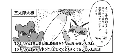『Vの食卓』より