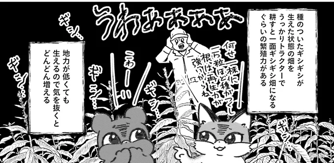 『Vの食卓』より