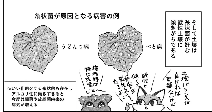 『Vの食卓』より