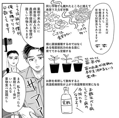 『Vの食卓』より