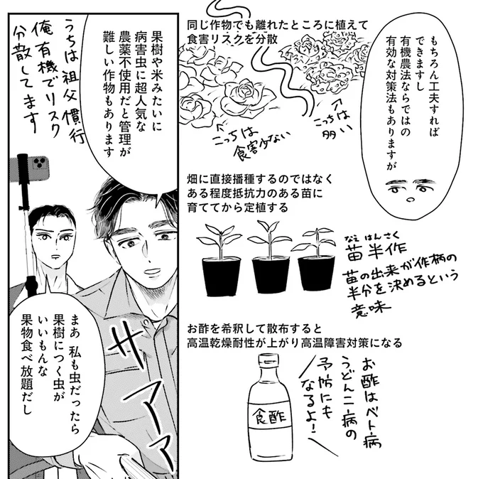 『Vの食卓』より
