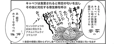 『Vの食卓』より