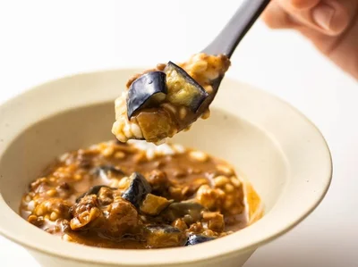ケトン 麻婆なす丼の素