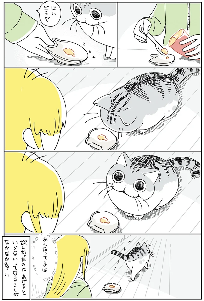 『夜は猫といっしょ6』より