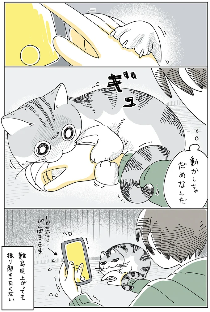 『夜は猫といっしょ6』より