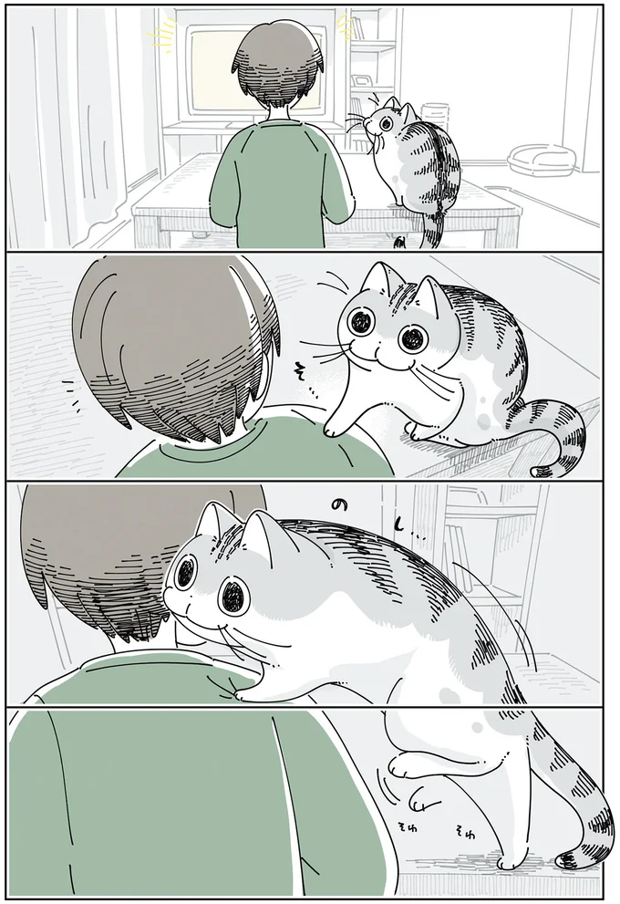 『夜は猫といっしょ6』より