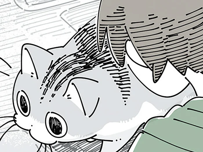 どちらが優勢？ 作業中に「ぬっ」と現れるネコ VS お邪魔行為をガードする飼い主