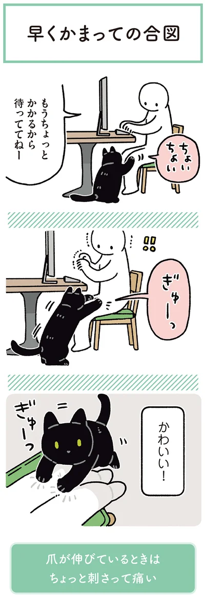 早くかまっての合図