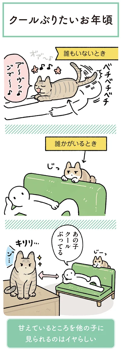 『黒猫ろんと暮らしたら8』より